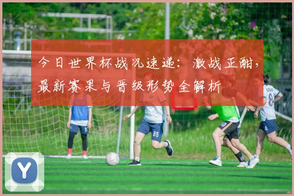 今日世界杯战况速递：激战正酣，最新赛果与晋级形势全解析