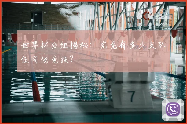世界杯分组揭秘:究竟有多少支队伍同场竞技?